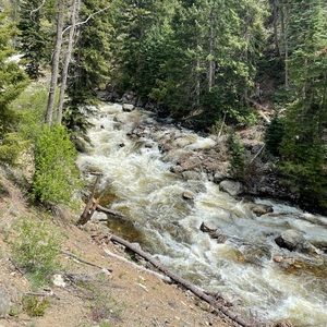 Meet your Posher, Denise